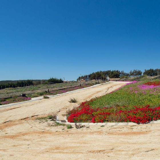 Rotonda Interior