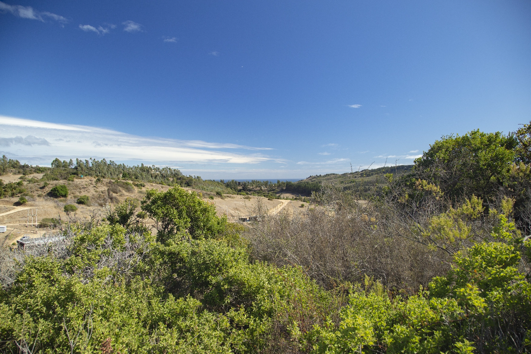 El Maqui - Vista hacia La Vega de Pupuya